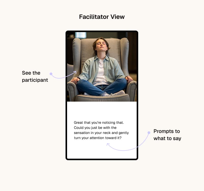 Facilitator in an IFS session